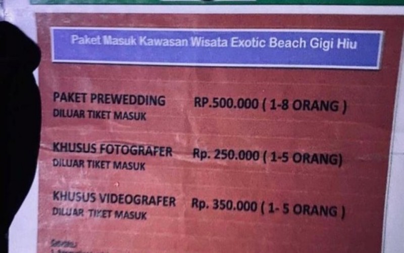 Tarif Motret Gigi Hiu 2121