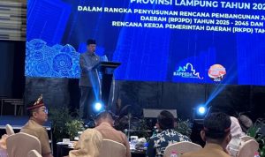 IMG_20240730_195617
