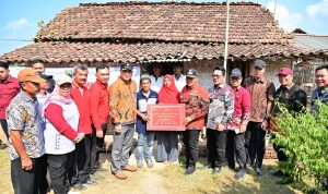 Bedah rumah