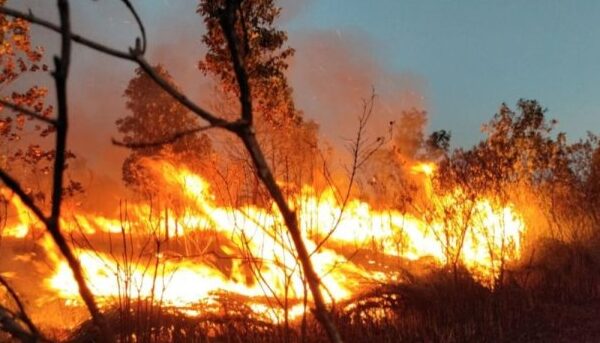 Kebakaran-hutan-TNWK-e1711032260966