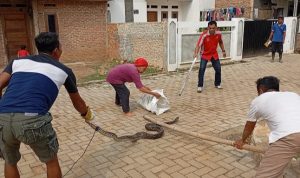 IMG_20241116_114859