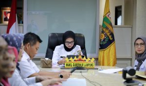 Wagub Jihan Ikuti Peluncuran Indikator Indeks Pencegahan Korupsi Daerah MCP Tahun 2025