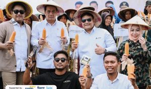 Wamendes PDT A Riza Patria memanen jagung di Pesawaran, Lampung, yang merupakan hasil Smartfarming oleh Juara Wirausaha Muda Mandiri tahun 2022 yaitu Dian Prayogi. | ist