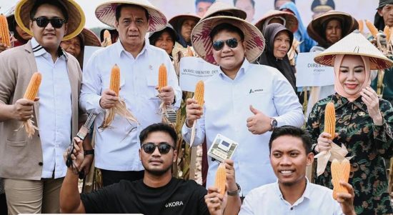 Wamendes PDT A Riza Patria memanen jagung di Pesawaran, Lampung, yang merupakan hasil Smartfarming oleh Juara Wirausaha Muda Mandiri tahun 2022 yaitu Dian Prayogi. | ist