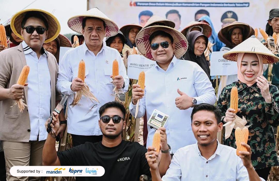Wamendes PDT A Riza Patria memanen jagung di Pesawaran, Lampung, yang merupakan hasil Smartfarming oleh Juara Wirausaha Muda Mandiri tahun 2022 yaitu Dian Prayogi. | ist