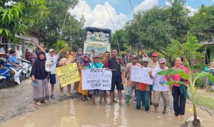 Warga Palas Lampung Selatan melakukan aksi mengkritik kerusakan jalan dengan menabur Lele di kubangan jalan. | ist