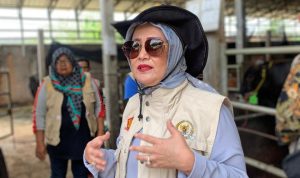 Dwita Ria Gunadi Apresiasi Instruksi Gubernur Lampung Terkait Harga Singkong
