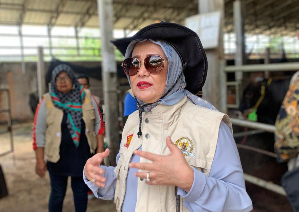 Dwita Ria Gunadi Apresiasi Instruksi Gubernur Lampung Terkait Harga Singkong Dwita Ria Gunadi Apresiasi Instruksi Gubernur Lampung Terkait Harga Singkong