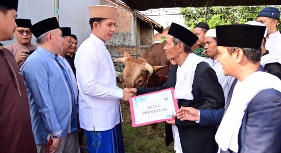 Bupati Lampung Selatan Radityo Egi menyerahkan sapi kurban dari Presiden Prabowo Subianto ke pengurus masjid Ar Rohman, Fajar Baru, Lampung Selatan. | ist