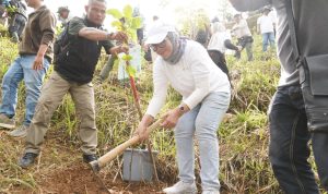 Sekretaris Perusahaan PLN NP Sri Heny Purwanti menanam pohon pada kilometer 0 Hulu Ciliwung. Sebanyak 10.000 pohon akan ditanam dalam kegiatan yang dicetuskan Creator Lingkungan Hidup Jerhemy Owen yang merupakan kolaborasi antara PLN NP, Kementerian Kehutanan, dan WWF. | ist