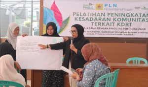 PLN NP