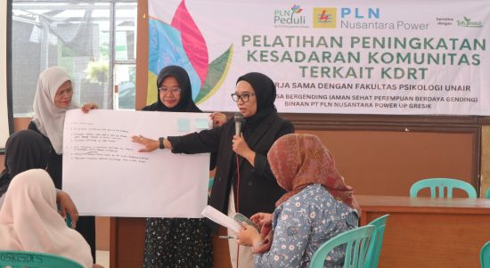 PLN NP