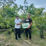 PLN NP dukung upaya pelestarian lingkungan sekaligus peningkatan nilai ekonomi melalui pohon produktif di Bojonegoro melalui bantuan 3 ribu bibit, pupuk dan ajir dalam program Sedekah Oksigen Majelis Lingkungan Hidup (MLH) Pimpinan Daerah Muhammadiyah Bojonegoro. | ist