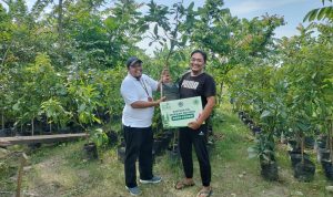 PLN NP dukung upaya pelestarian lingkungan sekaligus peningkatan nilai ekonomi melalui pohon produktif di Bojonegoro melalui bantuan 3 ribu bibit, pupuk dan ajir dalam program Sedekah Oksigen Majelis Lingkungan Hidup (MLH) Pimpinan Daerah Muhammadiyah Bojonegoro. | ist