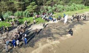 PLN NP Lepas 150 Tukik dan 1 Penyu Sisik di Pantai Pancer Door, Komitmen Aksi Lingkungan Berkelanjutan