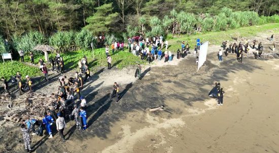 PLN NP Lepas 150 Tukik dan 1 Penyu Sisik di Pantai Pancer Door, Komitmen Aksi Lingkungan Berkelanjutan