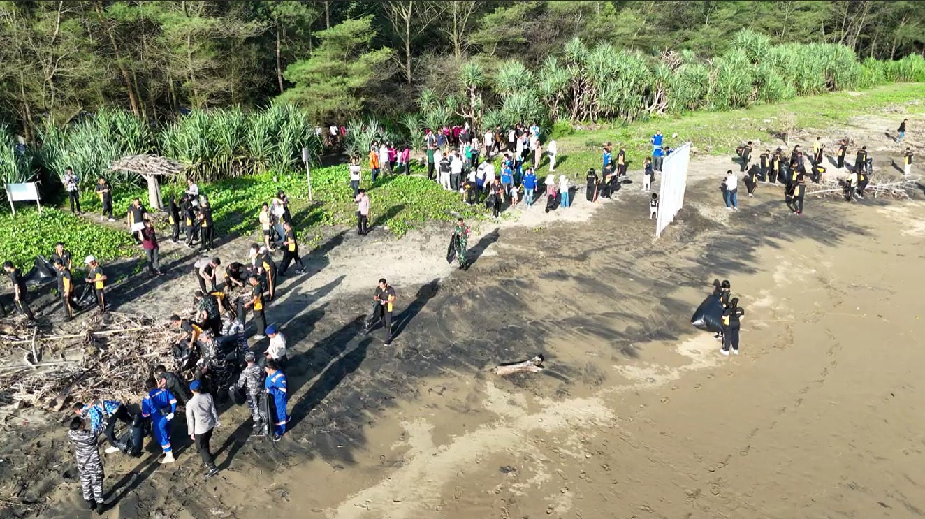 PLN NP Lepas 150 Tukik dan 1 Penyu Sisik di Pantai Pancer Door, Komitmen Aksi Lingkungan Berkelanjutan