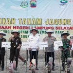Bupati Lamsel & Kajati Turun ke Ladang! Kolaborasi Hebat Demi Ketahanan Pangan dan Nasib Petani