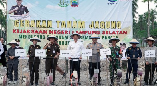 Bupati Lamsel & Kajati Turun ke Ladang! Kolaborasi Hebat Demi Ketahanan Pangan dan Nasib Petani