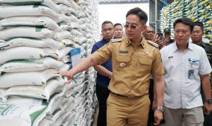 Bupati Lampung Selatan Radityo Egi Pratama meninjau beras yang akan dibagikan kepada 106 ribu warga. | Dok. Diskominfo Lamsel