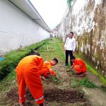 Dukung Ketahanan Pangan Nasional, Rutan Ambon Tanam Sawi Tahap 3