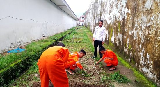 Dukung Ketahanan Pangan Nasional, Rutan Ambon Tanam Sawi Tahap 3