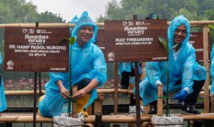 Hujan tidak menghalangi Menteri Lingkungan Hidup, Dr. Hanif Faisol Nurofiq (kiri) bersama Direktur Utama PLN Nusantara Power Ruly Firmansyah (kanan) menanam bibit mangrove dalam acara Nusantaraversary Green Fest pada Kamis (2/10) di Taman Wisata Angke Kapuk, Jakarta Utara.