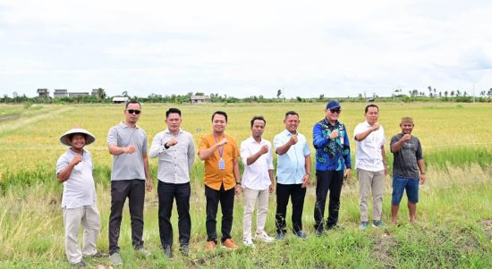 Teknologi Padi Biosalin Ubah Tambak Asin Jadi Sawah Produktif di Lampung Selatan