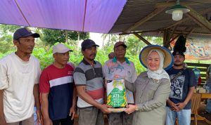 Dwita Ria Gunadi Salurkan Benih Padi Inpari 32 untuk Lahan 18 Ribu Hektare Petani Lamtim Dwita Ria Gunadi Salurkan Benih Padi Inpari 32 untuk Lahan 18 Ribu Hektare Petani Lamtim