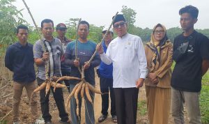 Haji Amrullah PKS Apresiasi Pergub Lampung Soal Hilirisasi Singkong, Momentum Kebangkitan Petani