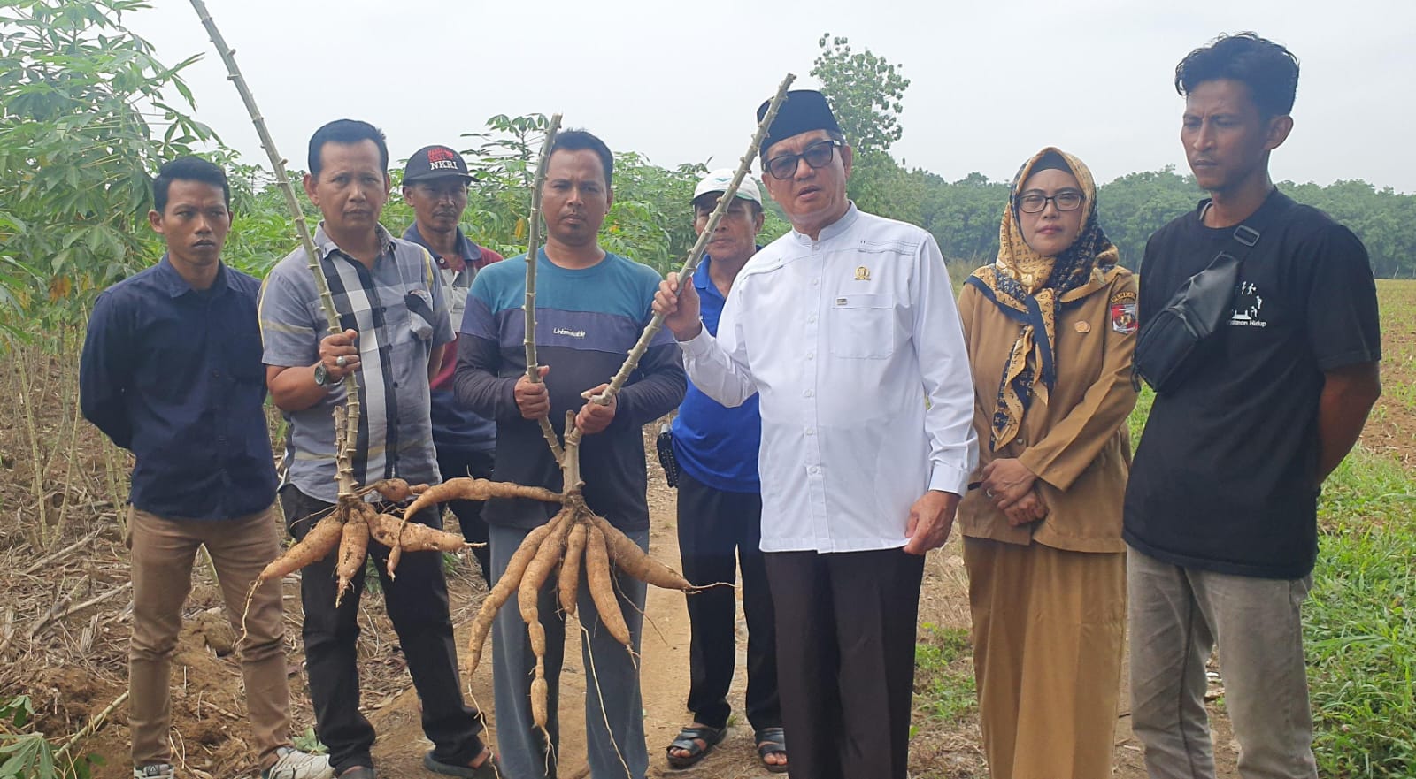 Haji Amrullah PKS Apresiasi Pergub Lampung Soal Hilirisasi Singkong, Momentum Kebangkitan Petani