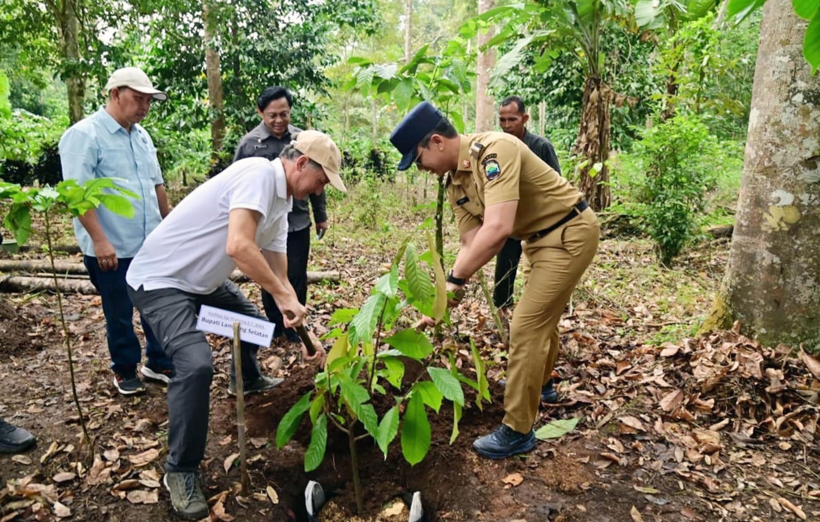 3.000 Bibit Kopi-Kakao Dibagikan, Menko Zulhas Minta Petani Jaga Gunung Rajabasa