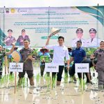 Pemkab Lamsel-Kejati Lampung Dorong Ketahanan Pangan lewat Ekspansi Padi Biosalin di Sragi