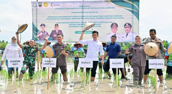 Pemkab Lamsel-Kejati Lampung Dorong Ketahanan Pangan lewat Ekspansi Padi Biosalin di Sragi