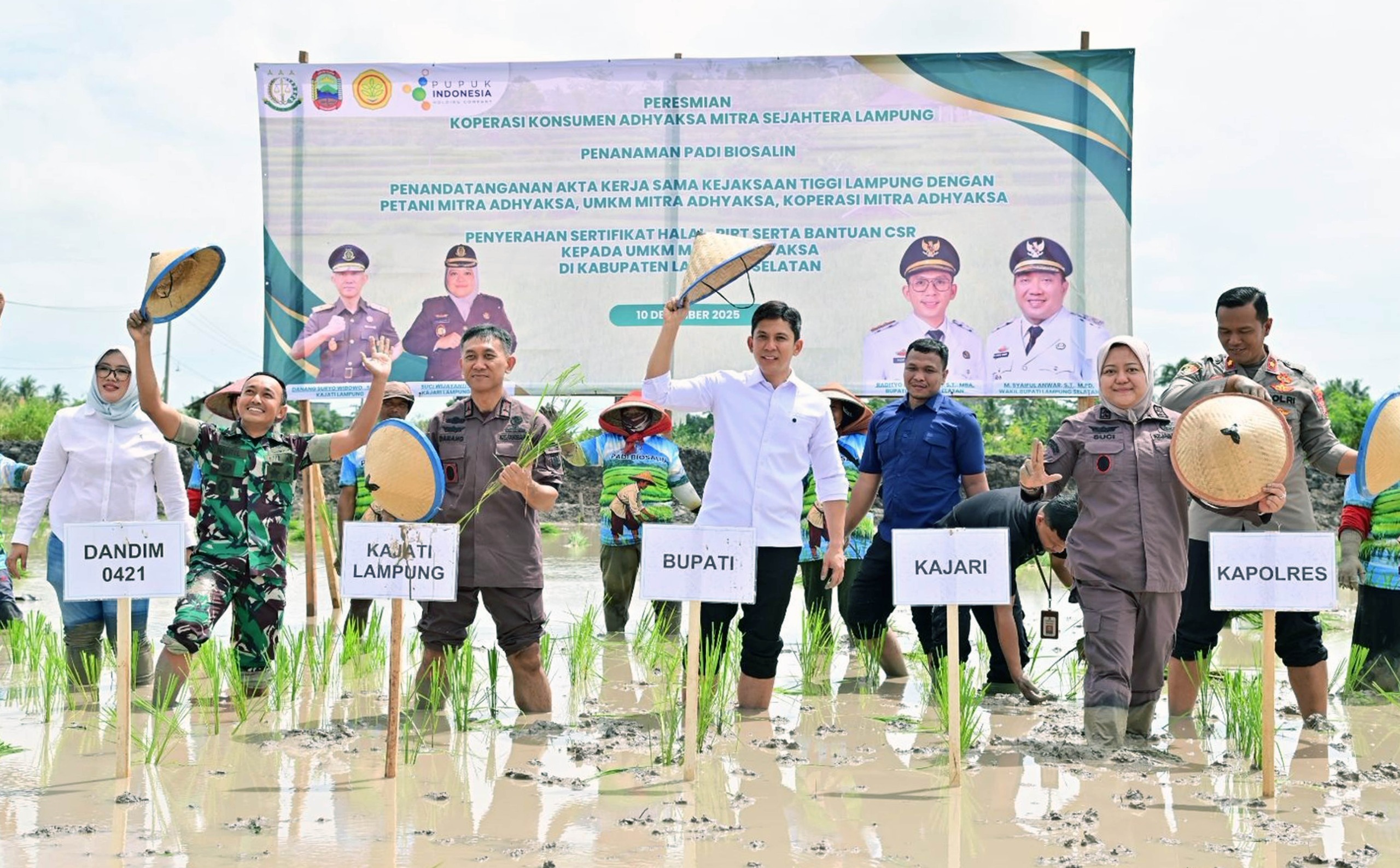 Pemkab Lamsel-Kejati Lampung Dorong Ketahanan Pangan lewat Ekspansi Padi Biosalin di Sragi Pemkab Lamsel-Kejati Lampung Dorong Ketahanan Pangan lewat Ekspansi Padi Biosalin di Sragi