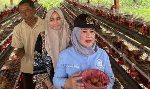 Kawal Program Presiden, Dwita Ria Tinjau Bantuan Ayam Merah Putih di Lampung Timur