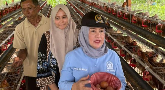 Kawal Program Presiden, Dwita Ria Tinjau Bantuan Ayam Merah Putih di Lampung Timur