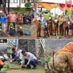 Kampanye “Pohon Asuh”, 5.792 PPPK Paruh Waktu Lamsel Tanam Pohon Serentak