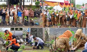 Kampanye “Pohon Asuh”, 5.792 PPPK Paruh Waktu Lamsel Tanam Pohon Serentak
