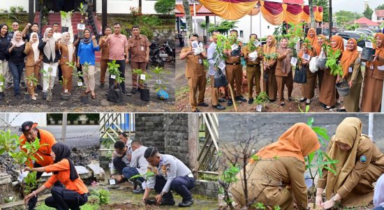 Kampanye “Pohon Asuh”, 5.792 PPPK Paruh Waktu Lamsel Tanam Pohon Serentak
