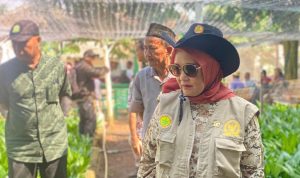 Konflik Manusia dan Satwa di Lamtim Telan Korban, Dwita Ria Dorong Evaluasi Menyeluruh