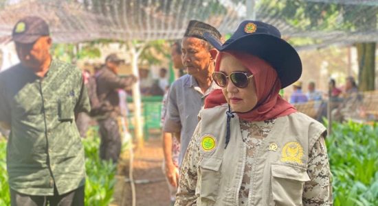 Konflik Manusia dan Satwa di Lamtim Telan Korban, Dwita Ria Dorong Evaluasi Menyeluruh