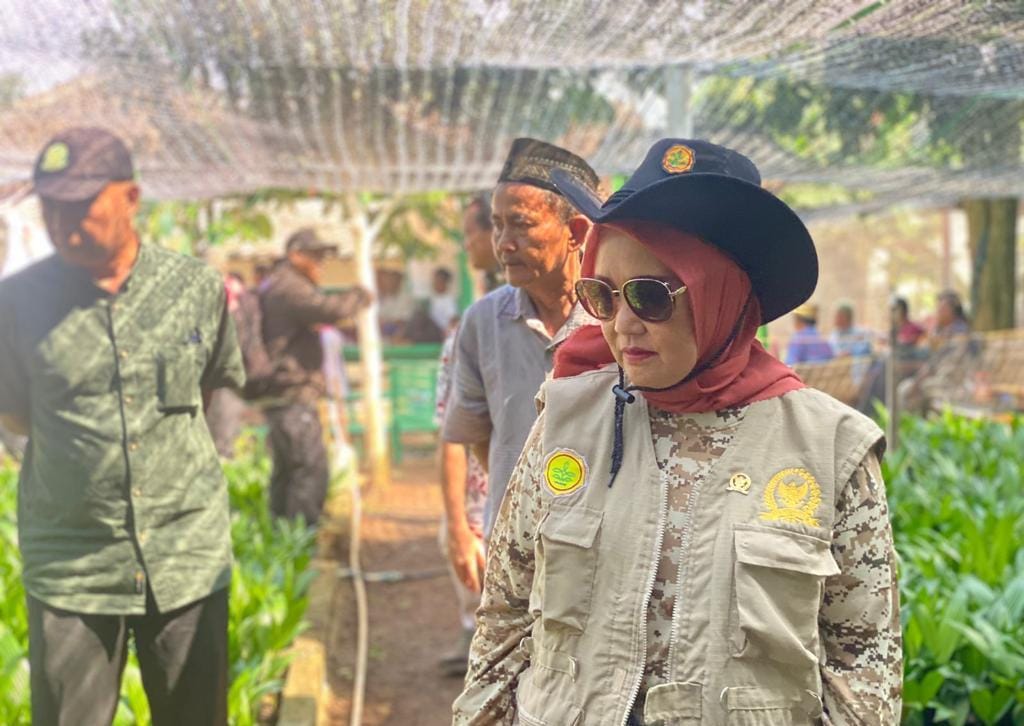 Konflik Manusia dan Satwa di Lamtim Telan Korban, Dwita Ria Dorong Evaluasi Menyeluruh