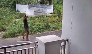 Maling Bobol Rumah Pengacara di Kemiling, Burung dan Perhiasan Total Rp200 Juta Raib