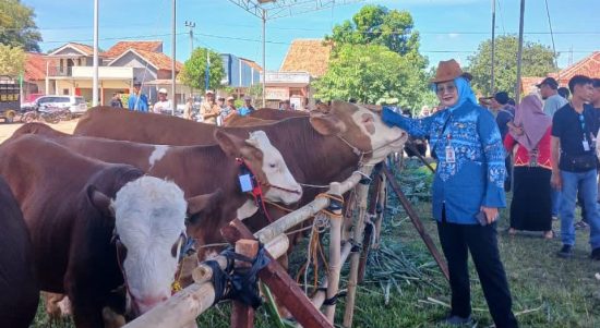Pemprov Lampung Tegaskan Pasokan Daging Sapi Aman, Neraca 2025 Surplus