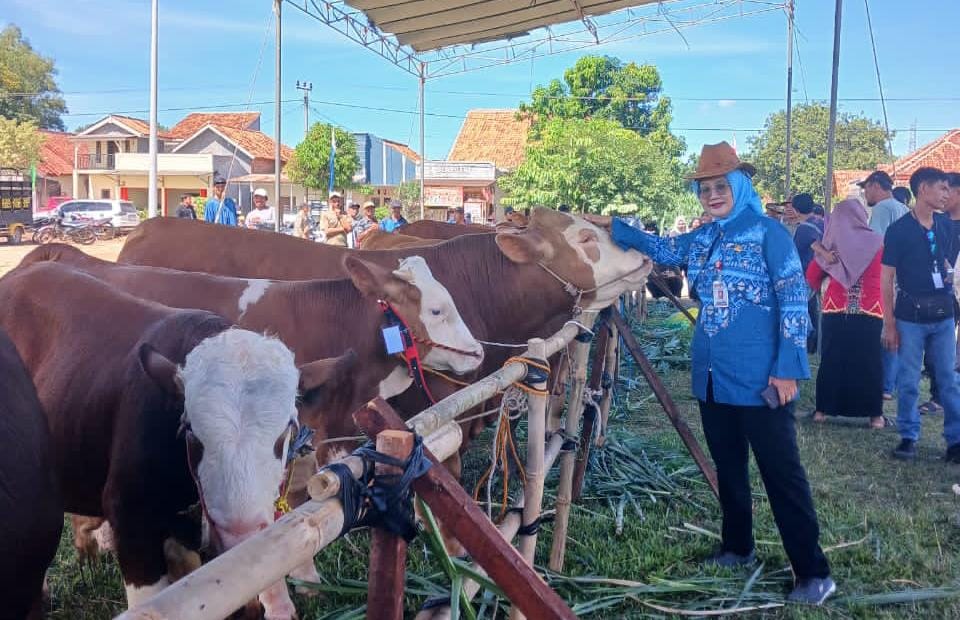 Pemprov Lampung Tegaskan Pasokan Daging Sapi Aman, Neraca 2025 Surplus