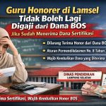 Guru Honorer Bersertifikasi Tak Lagi Boleh Digaji dari Dana BOS