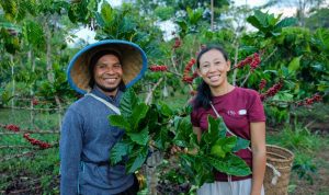 ICP Rayakan 25 Tahun, Perkuat Ketahanan Petani Kopi dan Dorong Transformasi Berkelanjutan