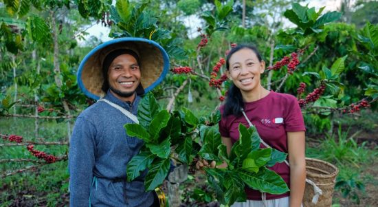 ICP Rayakan 25 Tahun, Perkuat Ketahanan Petani Kopi dan Dorong Transformasi Berkelanjutan