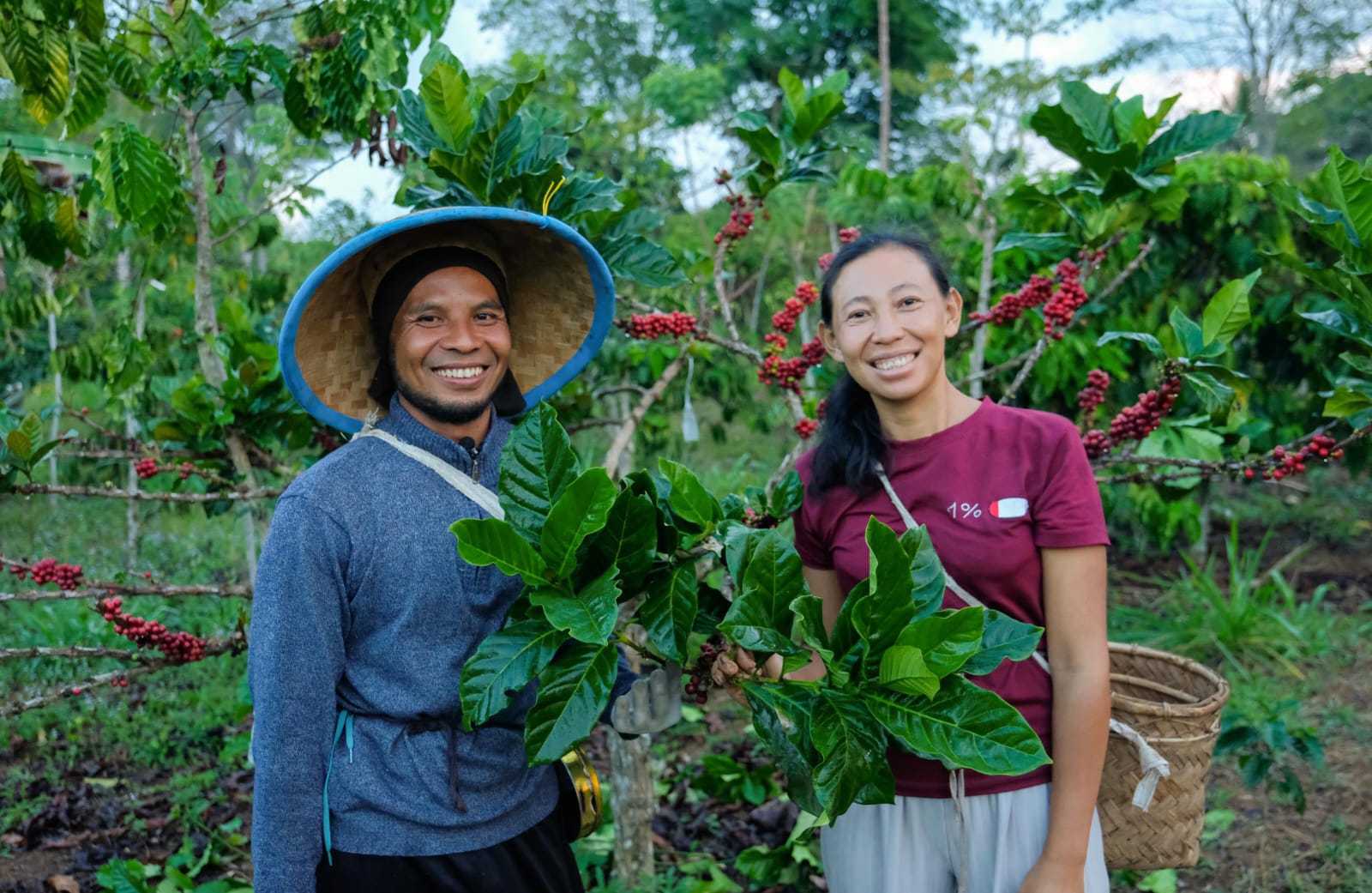 ICP Rayakan 25 Tahun, Perkuat Ketahanan Petani Kopi dan Dorong Transformasi Berkelanjutan